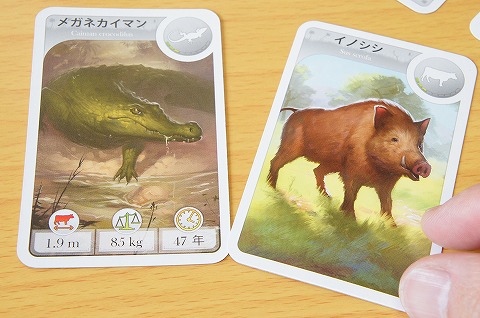 cardline-doubutsuhen_003
